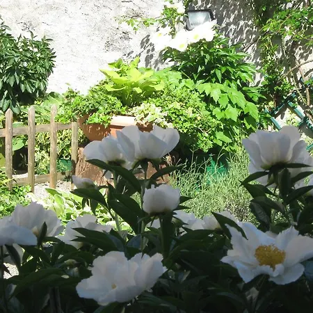 Ristorante Del Monte