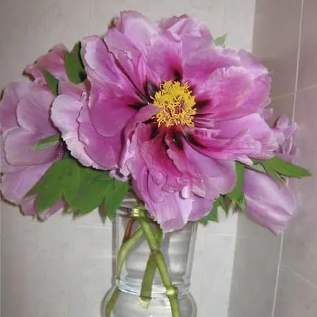 Ristorante Del Monte Semesterbostad